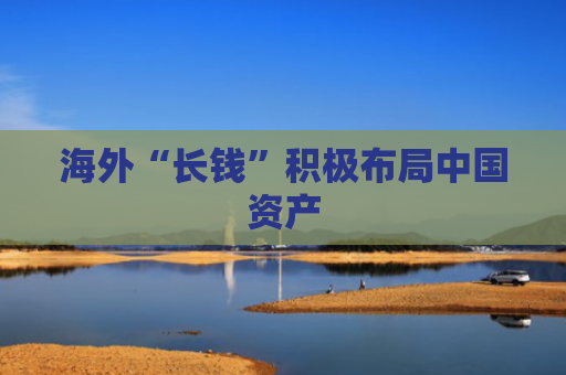 海外“长钱”积极布局中国资产