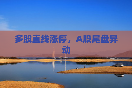 多股直线涨停，A股尾盘异动
