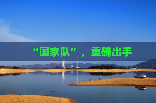 “国家队”，重磅出手