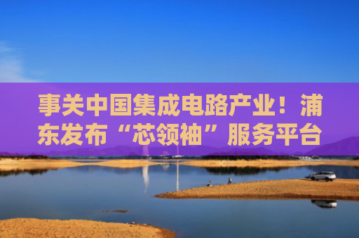 事关中国集成电路产业！浦东发布“芯领袖”服务平台，打造产业共同体