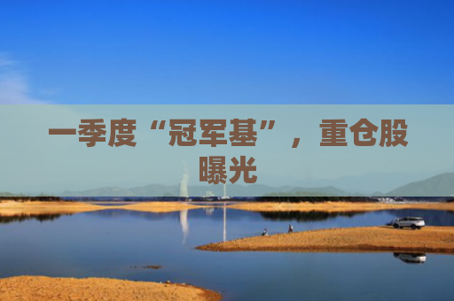 一季度“冠军基”，重仓股曝光