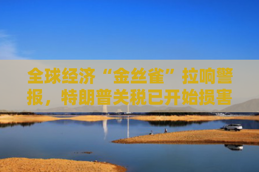 全球经济“金丝雀”拉响警报，特朗普关税已开始损害国际贸易