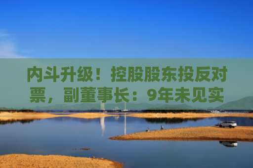 内斗升级！控股股东投反对票，副董事长：9年未见实控人