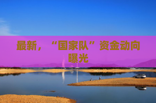 最新，“国家队”资金动向曝光