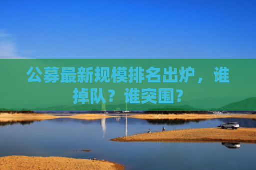 公募最新规模排名出炉，谁掉队？谁突围？