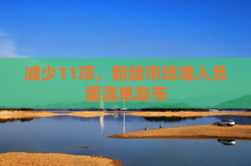 减少11项，新版市场准入负面清单发布