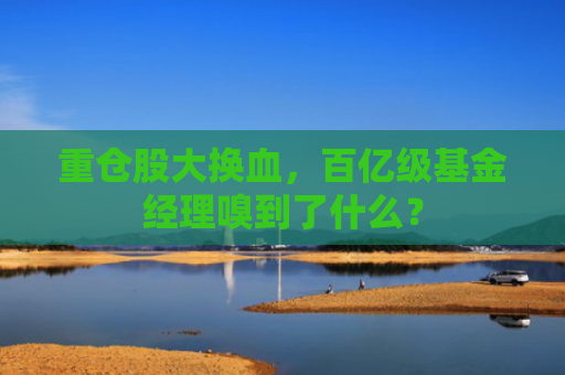 重仓股大换血，百亿级基金经理嗅到了什么？