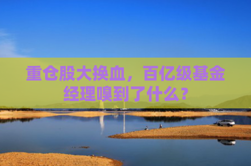 重仓股大换血，百亿级基金经理嗅到了什么？