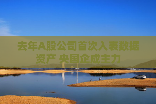 去年A股公司首次入表数据资产 央国企成主力