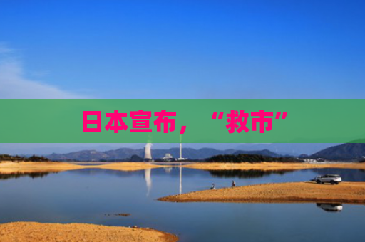 日本宣布，“救市”