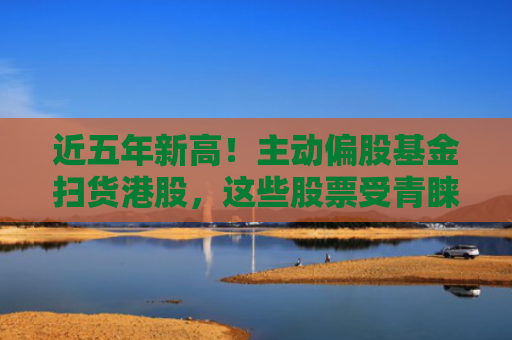 近五年新高！主动偏股基金扫货港股，这些股票受青睐