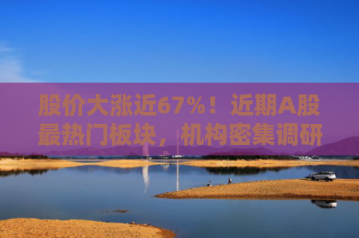 股价大涨近67%！近期A股最热门板块，机构密集调研