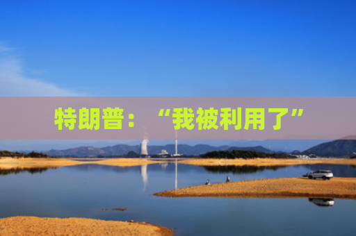 特朗普：“我被利用了”