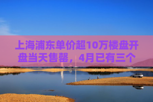 上海浦东单价超10万楼盘开盘当天售罄，4月已有三个新盘“日光”