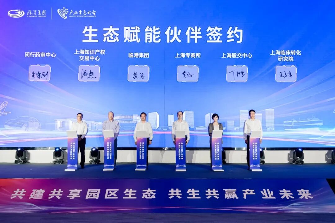 临港新项目启动_大豪商掌家娘子19楼_