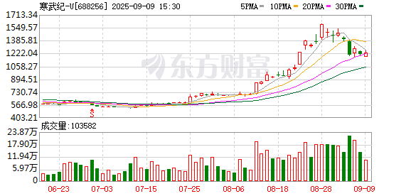 “寒王”大动作！寒武纪近40亿元定增获批 拟加码智能芯片等赛道