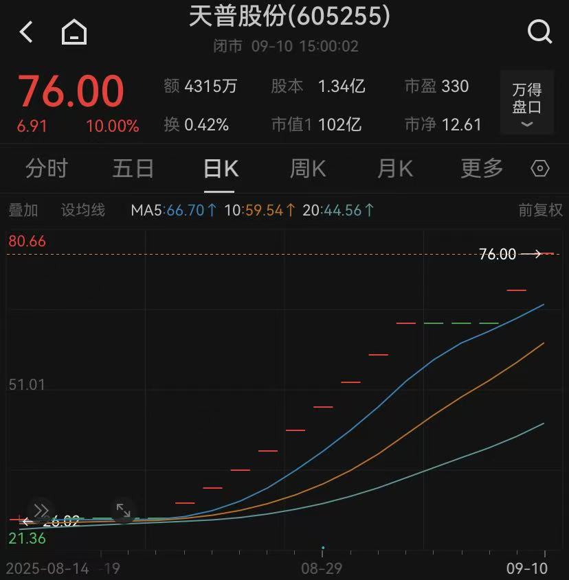 _停牌核查股票_股票停牌核查后会大跌吗