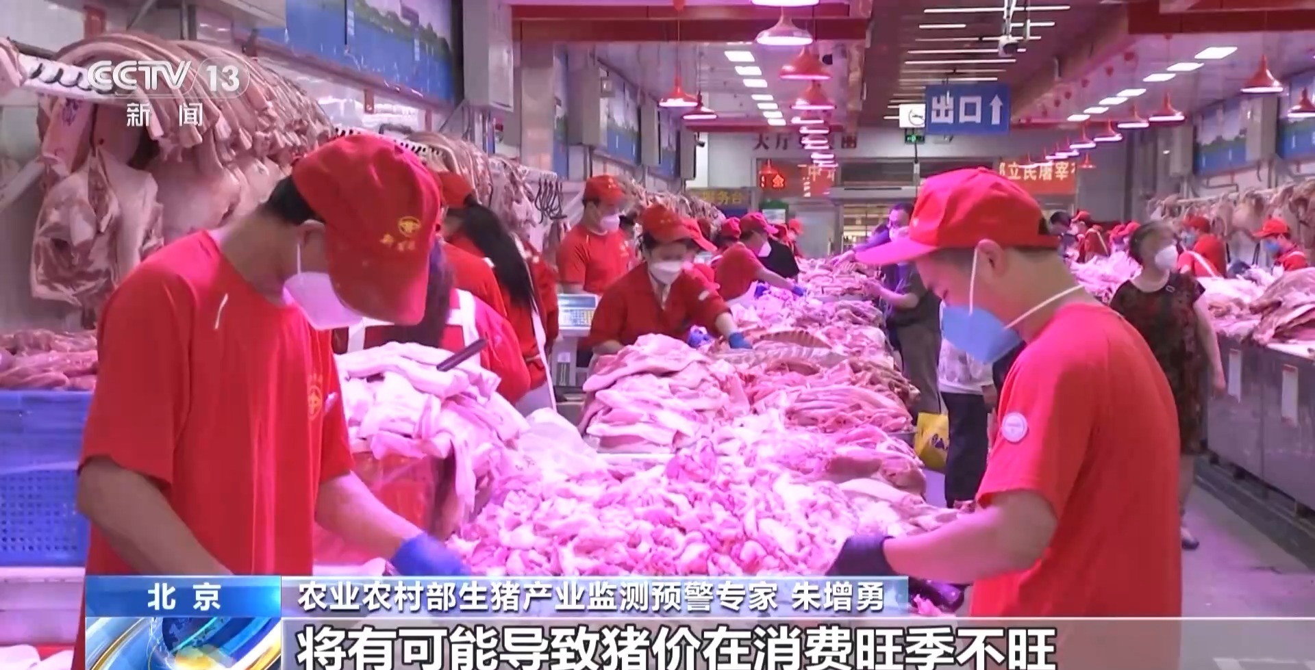 猪的身价翻倍_猪身价高的图片_