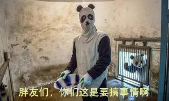 财经连环话｜给！包你情人节脱单的五个科学方法！_财经连环话｜给！包你情人节脱单的五个科学方法！_