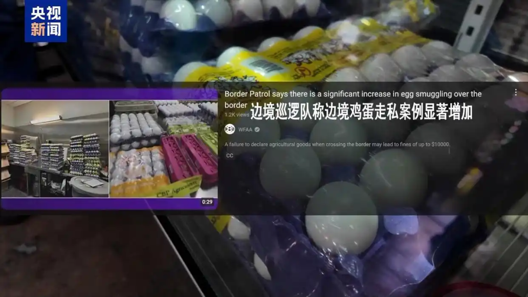 CFF20LXzkOyicZKQyIn2KxC9LjD0bOpc6Q0Q4uGqKSibG99zGubNkFAvE8GQJQ6co3F3qgjQsS2cx2hAicGbF84yw.png