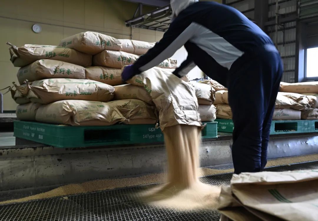 5公斤216元，日本大米价格上涨92.1%，蔬菜价格也大幅上涨