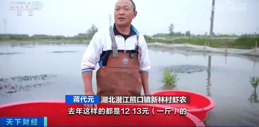 小龙虾价格腰斩，上市初期一个市场日销1万斤，如今每天卖10万斤