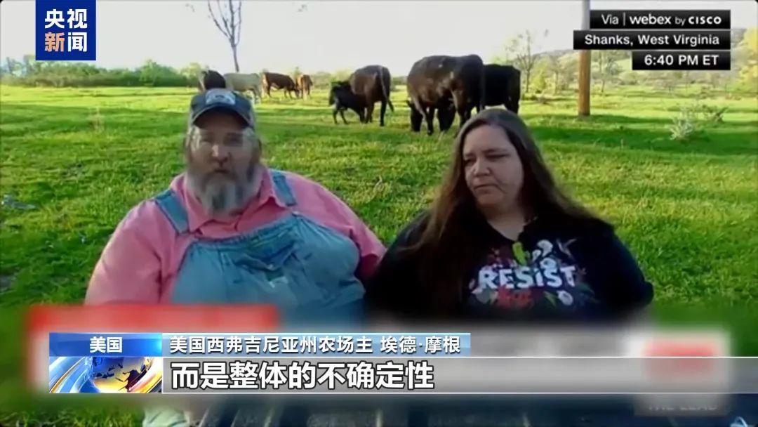 特朗普当选美元走势__特朗普在任期间美国国债
