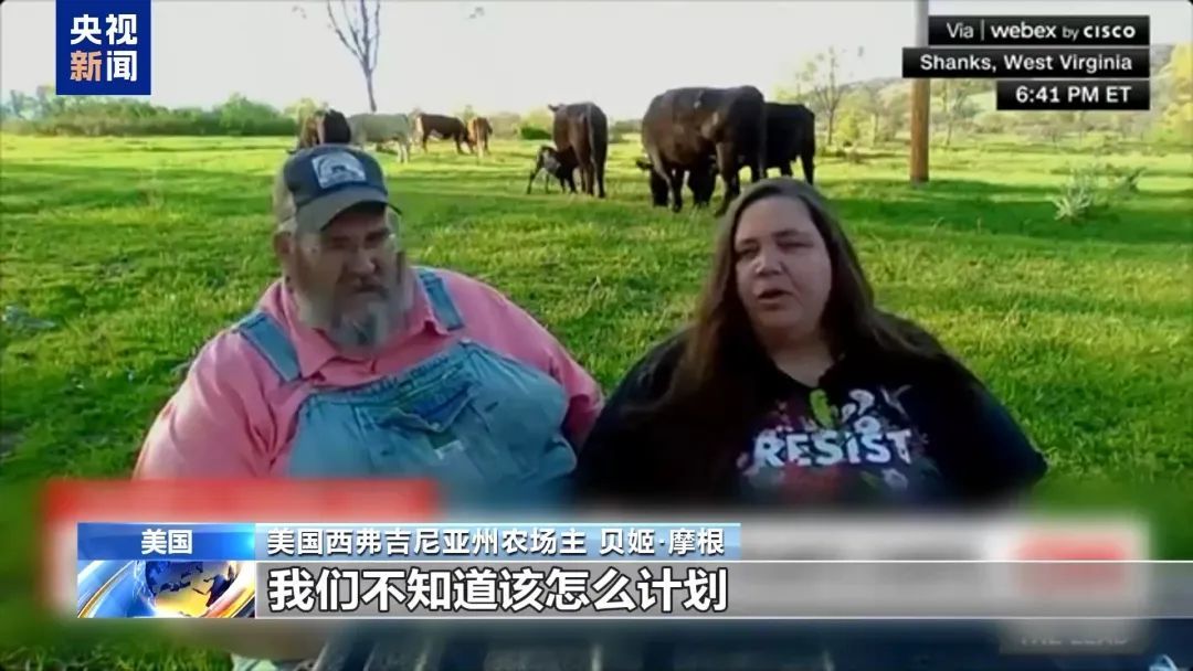特朗普当选美元走势__特朗普在任期间美国国债